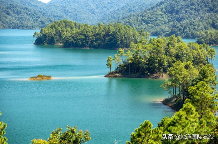 桂林阳朔康养旅游可以去哪,阳春小桂林风景区