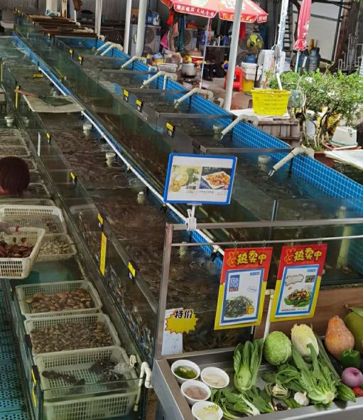 日月湾海滩游记攻略,小众沙滩海边旅游