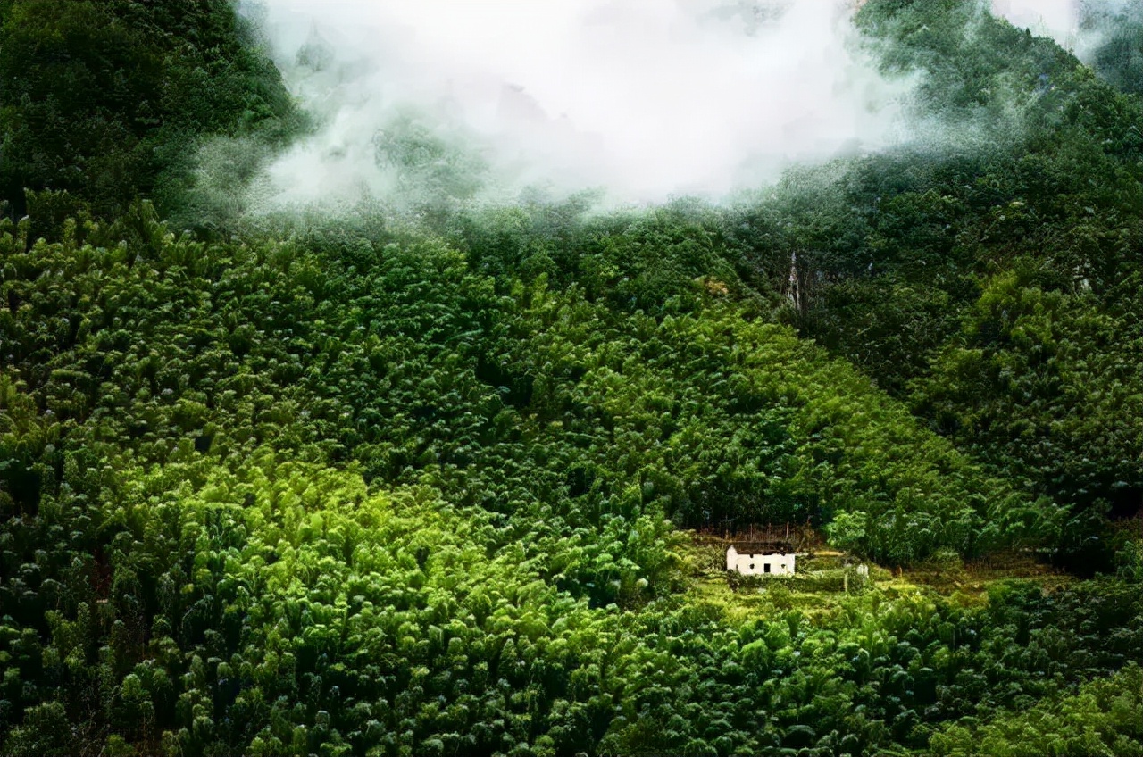 租乡下院子的乡村生活,把生活过成诗的院子