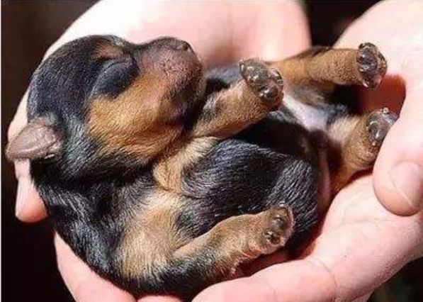 准备好迎接了吗英文翻译,准备好迎接除夕了吗