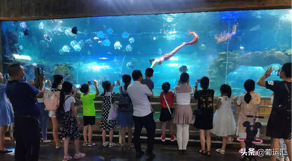 放飞希望放飞梦想让童年快乐起航,放飞梦想让青春起航