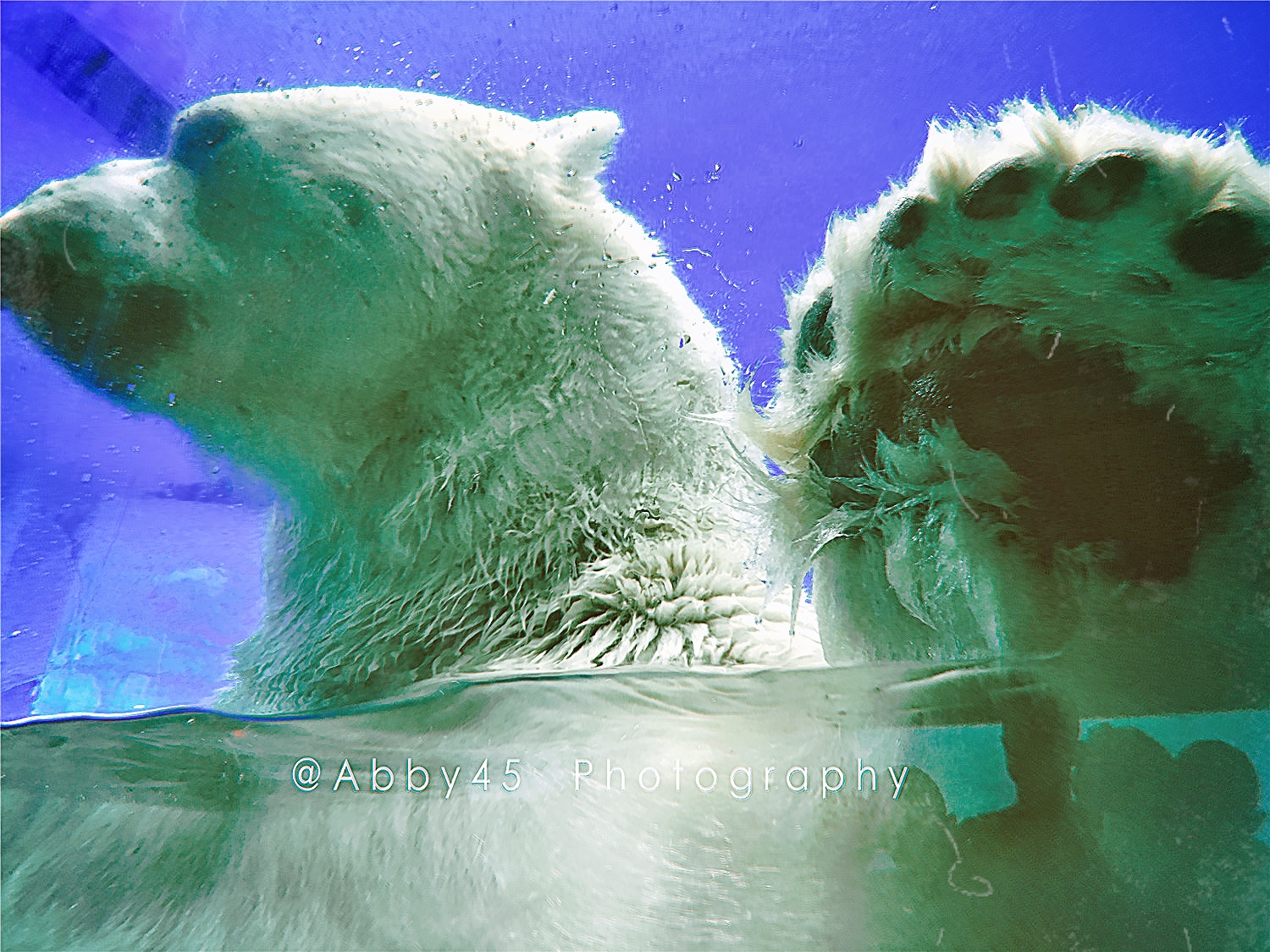 国内值得去的海洋世界,令人惊艳的海洋世界