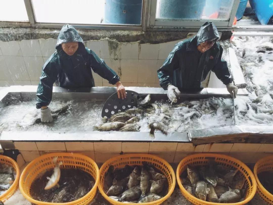 农民工晒工资,农民工晒工资条