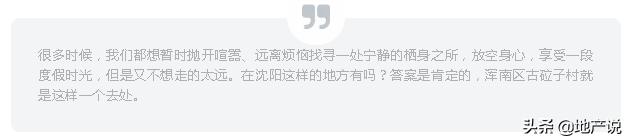 沈阳民宿推荐带儿童,沈阳民宿推荐距离中街近的