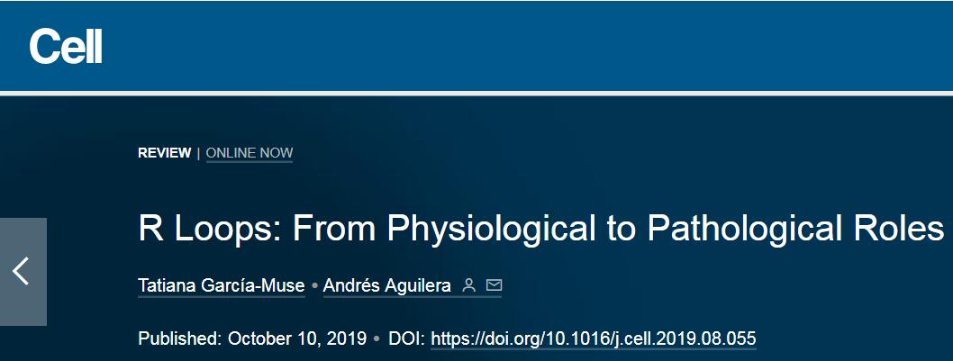 cell基础知识详解,cell综述