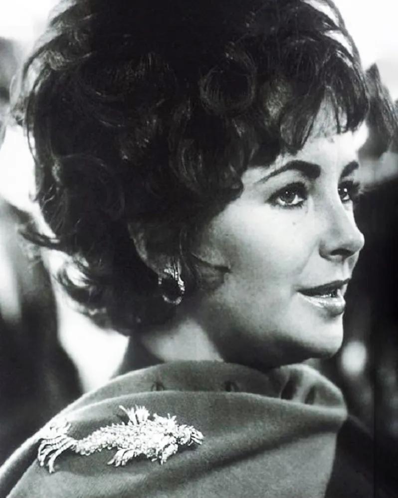 他用128克拉的黄钻征服了赫本，却只想逃离好莱坞回归自然