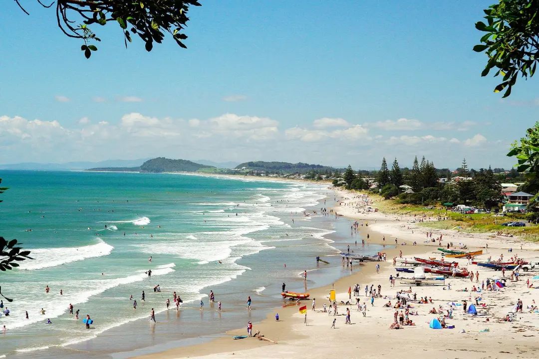 去新西兰哪些东西不能带入境,去新西兰有什么不能带的东西