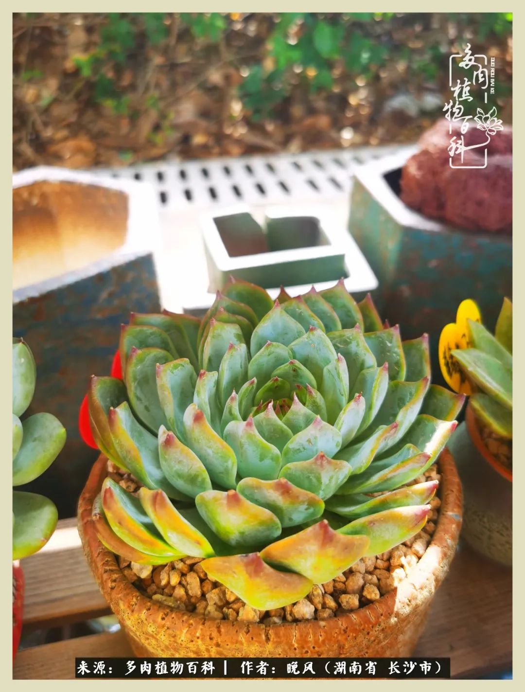 摇身一变成了奶爸,摇身一变成为打工人