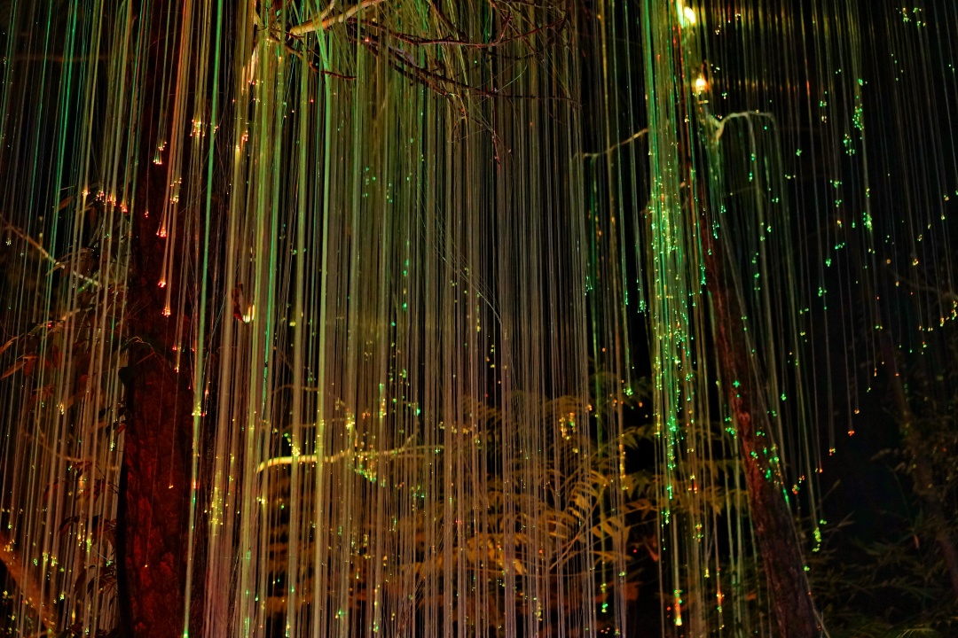 森波拉森林景区,广东清远森波拉旅游度假区