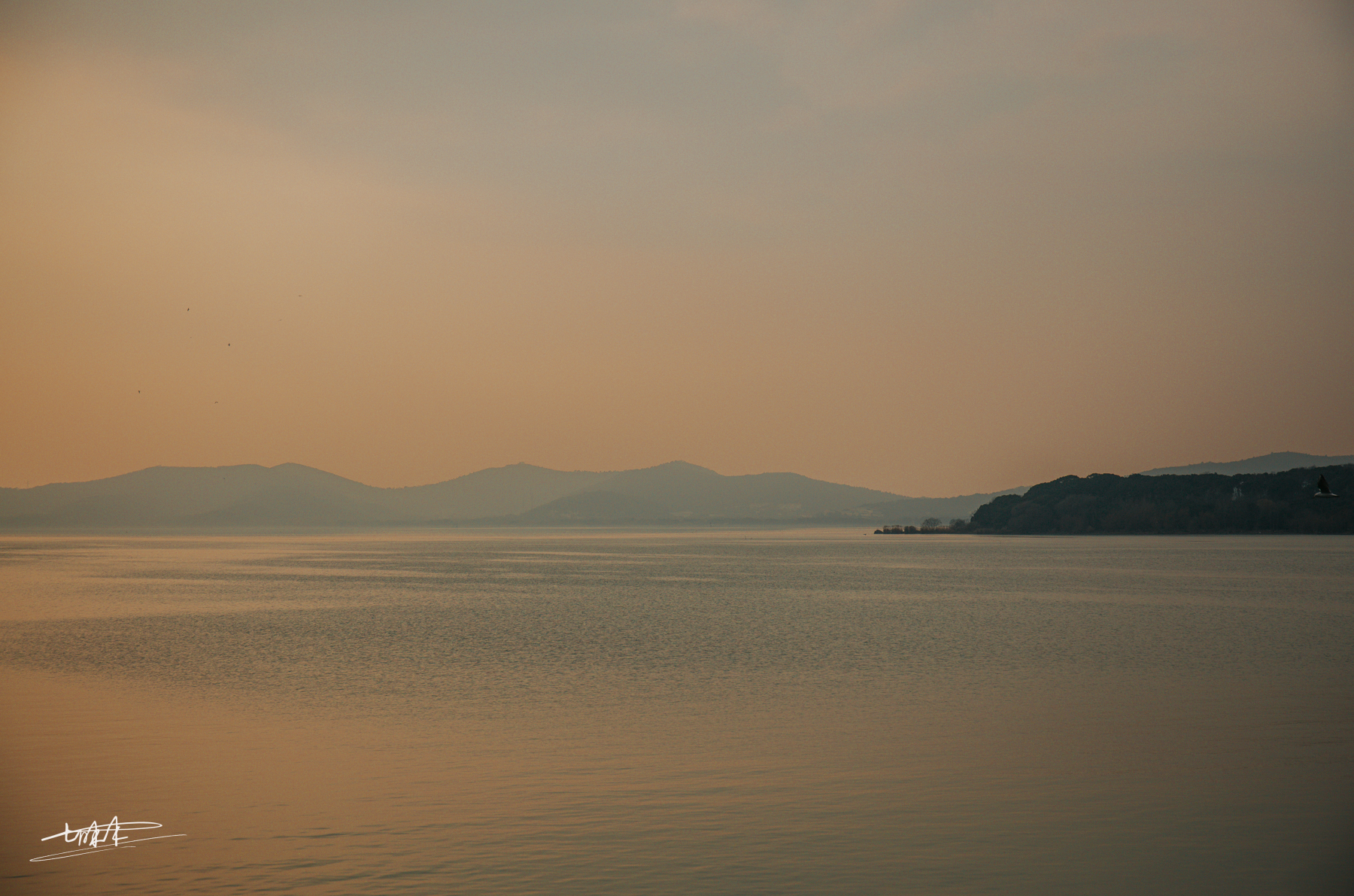 江南最大山水园林,独占太湖风景最美一角,堪称“无锡第一胜景”