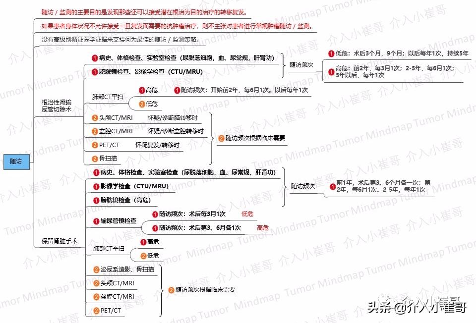 肿瘤护理思维导图,肿瘤免疫思维导图