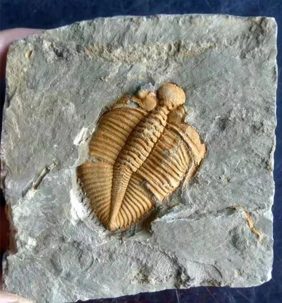 北京运河苑温泉水世界，好似闹市中的“瑶池仙境”，乐在水世界