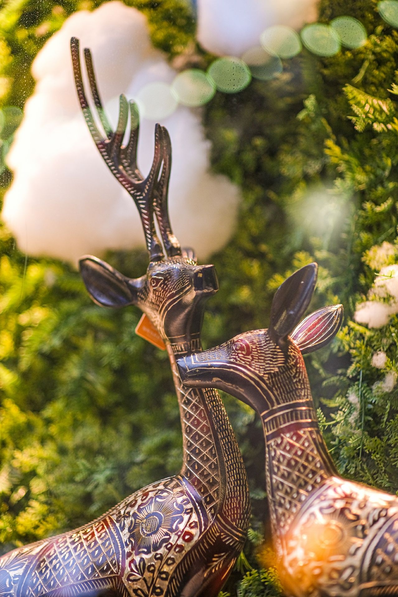 体验大光圈,七工匠55mmf1.4评测