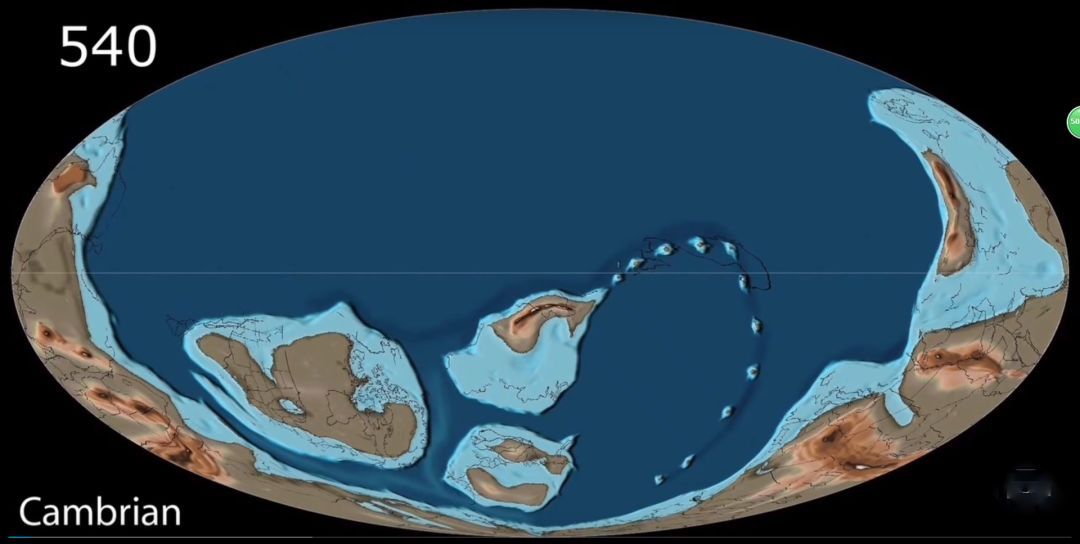 寒武纪生命大爆发与达尔文进化论,达尔文进化论被推翻的证据
