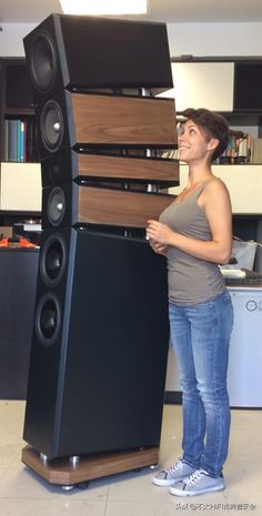 2全频喇叭和4个全频喇叭区别,全频喇叭是怎么做到全频的