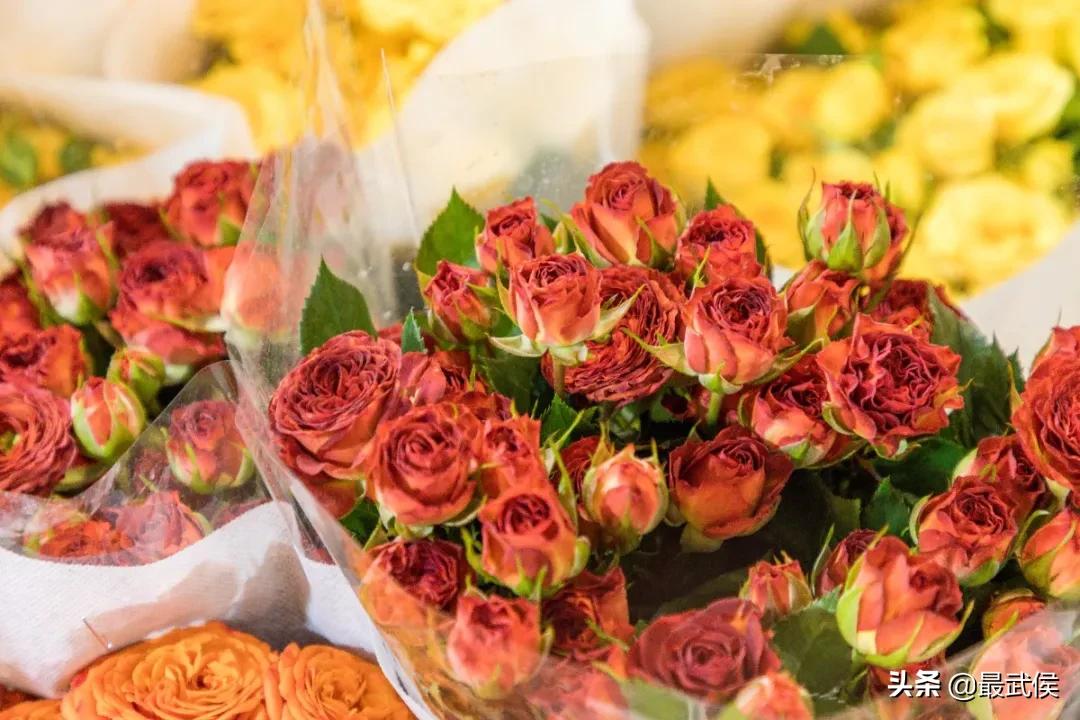 成都便宜的大花市,成都街边卖花一元一束