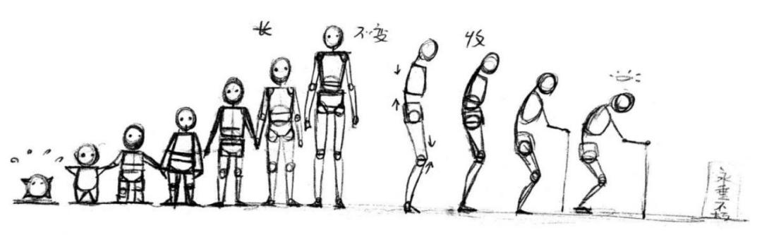 人体板绘入门基础知识,新手板绘自学入门教程