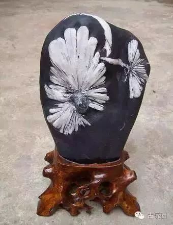 观赏石造假全过程,大化石造假揭秘