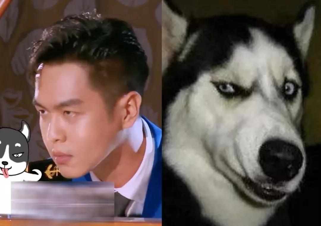 明星大撞脸你看哪个最像,明星撞脸对比