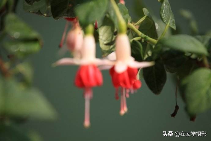 sonya7m3取景器模糊怎么回事,相机取景器里的参数看不清