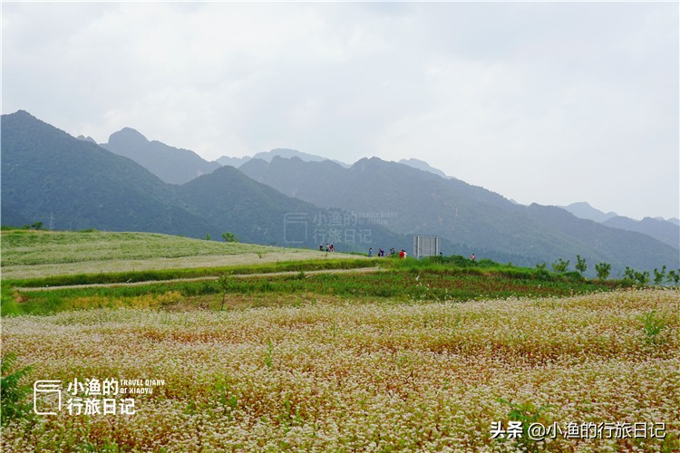 藏在秦岭深处的世外秘境,藏在西安秦岭里的桃源秘境