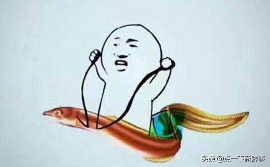 鳝鱼门,黄鳝案曝光主播现在咋样