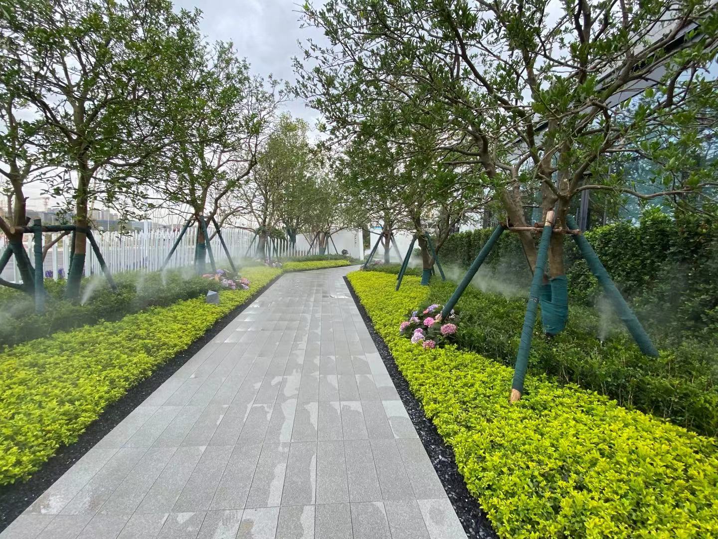 星海天辰跟保利哪个好,星海天宸地段