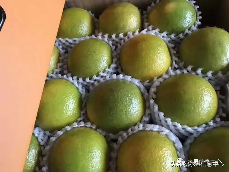 海南水果都有哪些品种图片及名称,海南水果上市时间表赶快收藏吧