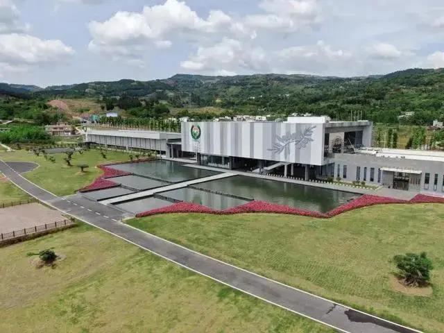 成都金堂橄榄小镇最新规划,金堂橄榄小镇在哪里