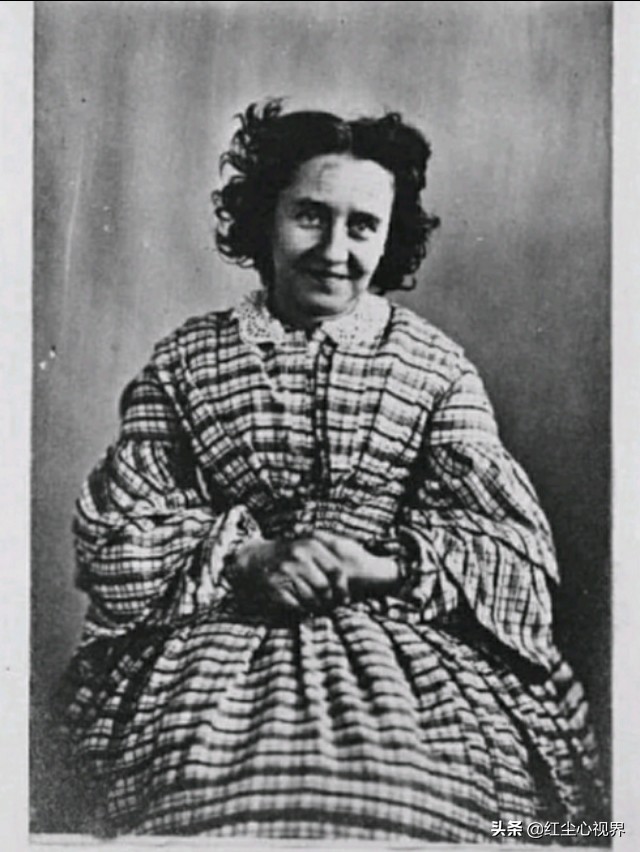 19世纪英国疯人院,疯人院英国