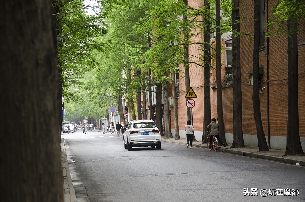 上海的这条路,魔都的街上的小姐姐