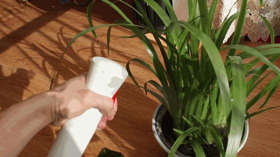 小米实用生活用品,小米有品厨房必备物品