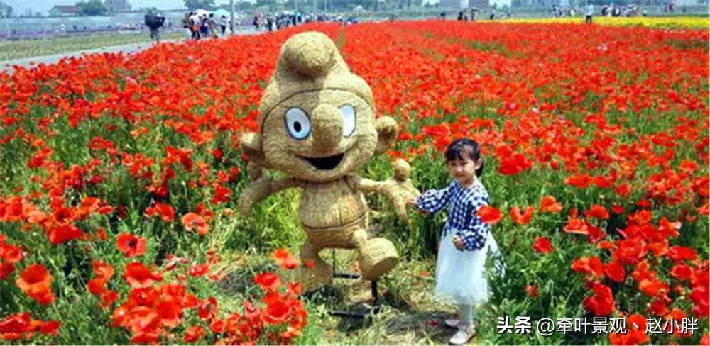 踏春寻美景,踏春赏花梯田漫步