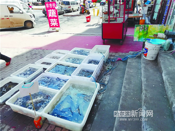 淡水鱼价为何低迷,淡水鱼批发价格行情