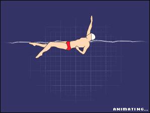 游泳初学者必看各种泳姿,游泳最简单最容易学的是哪个泳姿