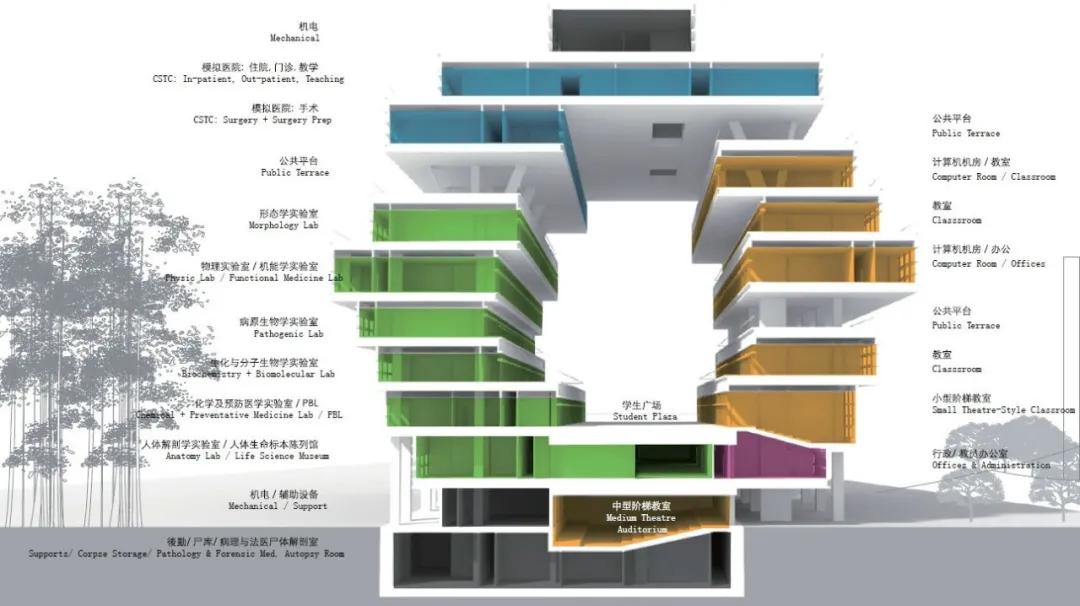 竖向堆叠的医疗之环：汕头大学新医学院