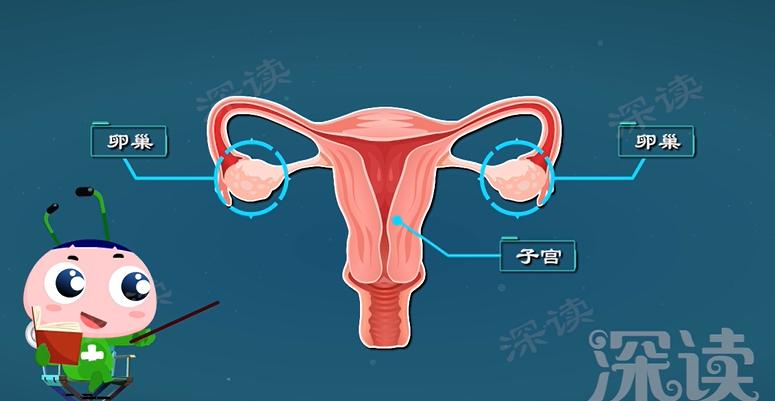 月经不调？怀孕困难？会搞出宫外孕？盆腔炎危害有多大？硬核科普