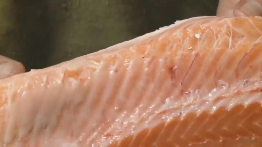 “最毒僵尸鱼”，外媒曝挪威三文鱼养殖乱象，看完胃不好了