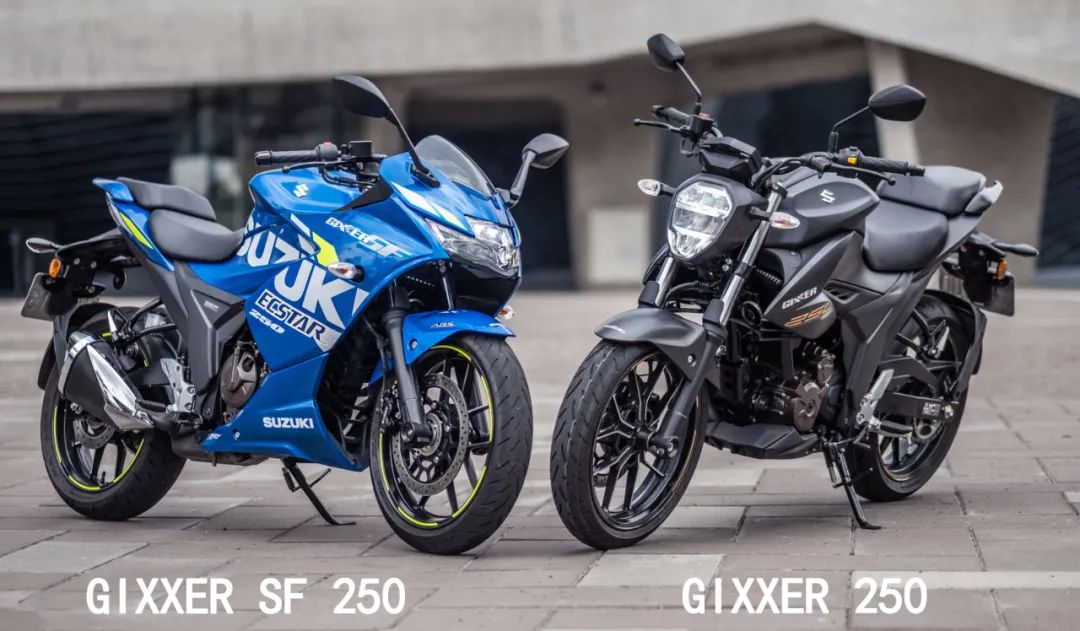 2020款全新铃木gixxer250sf,铃木gixxer250-sf
