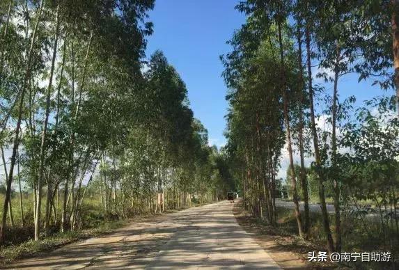 南宁农家乐排行榜适合小朋友,南宁附近农家乐一日游攻略