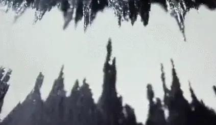 贵妇护肤品什么值得买,贵妇和平价护肤品哪个好