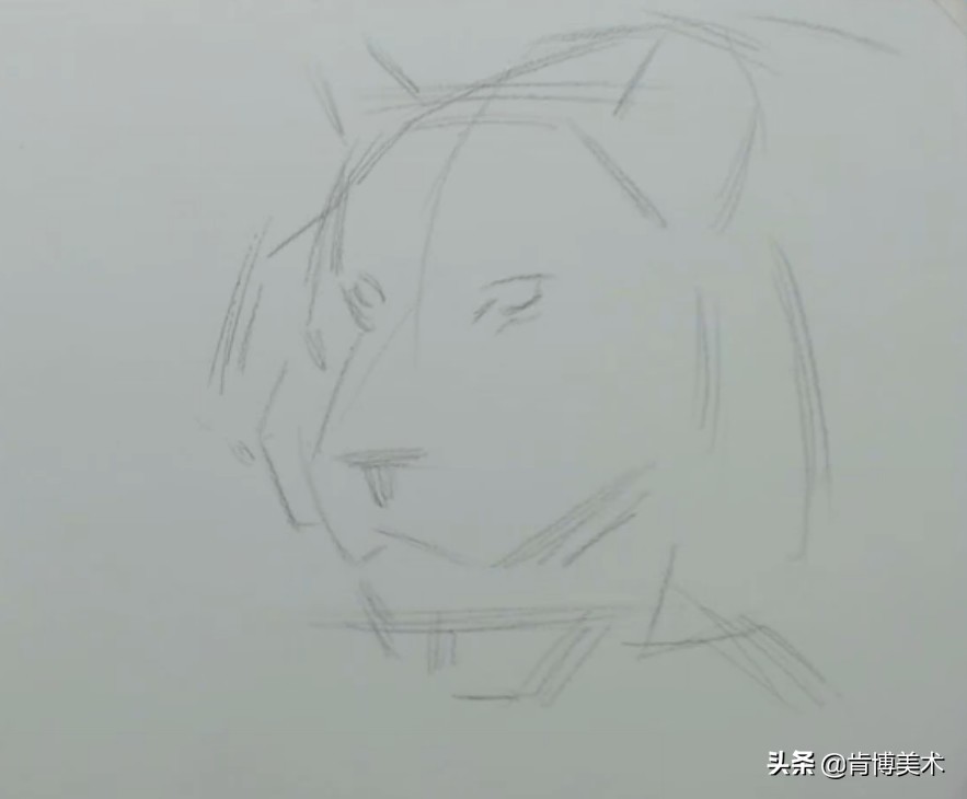 怎么画老虎素描新手,画素描老虎的步骤与方法