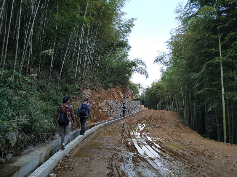 杭州周边徒步最美线路 (杭州最野的徒步路线)