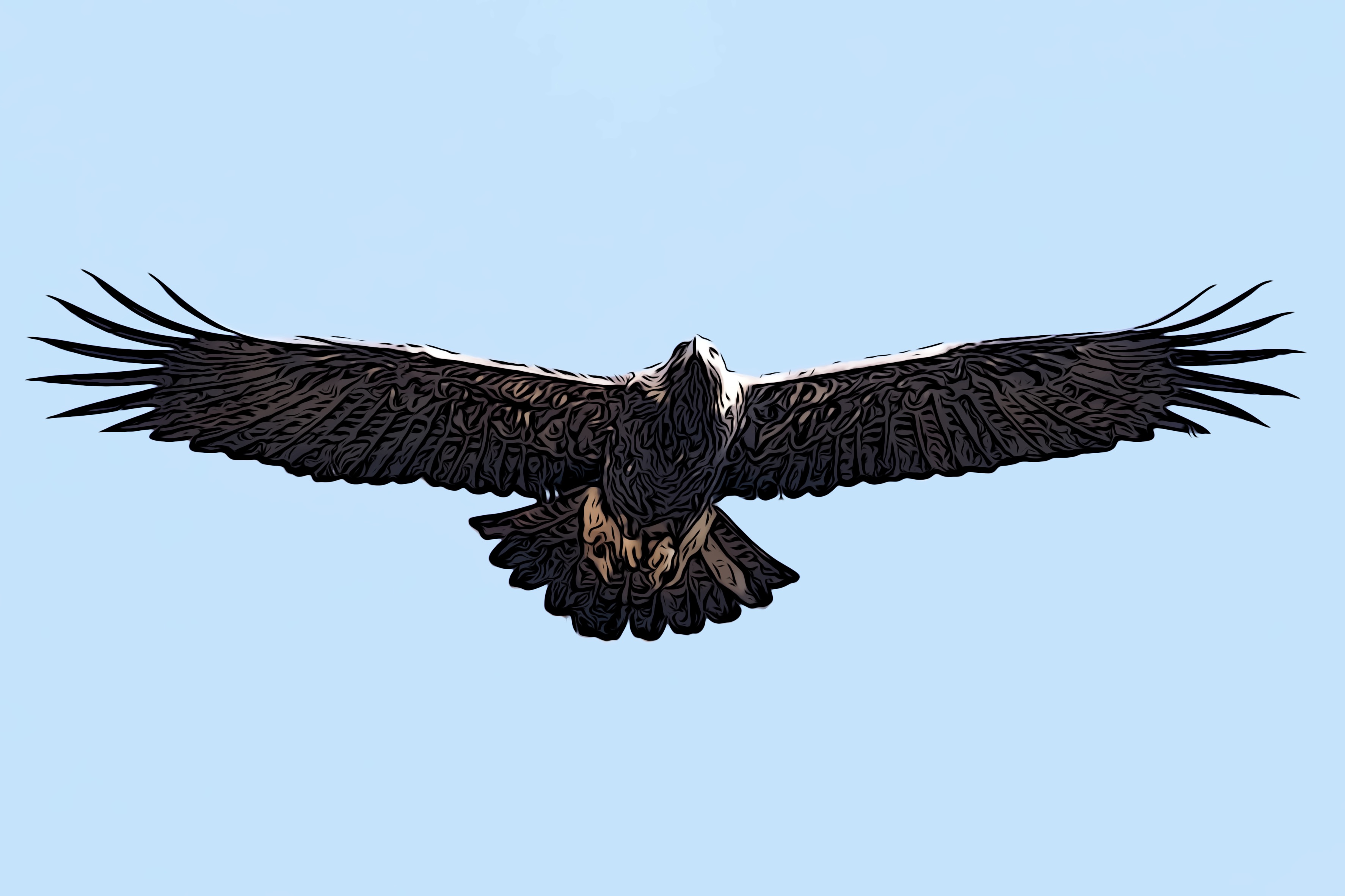 庄子的逍遥游之大而无当,庄子讲述彭祖活了八百岁