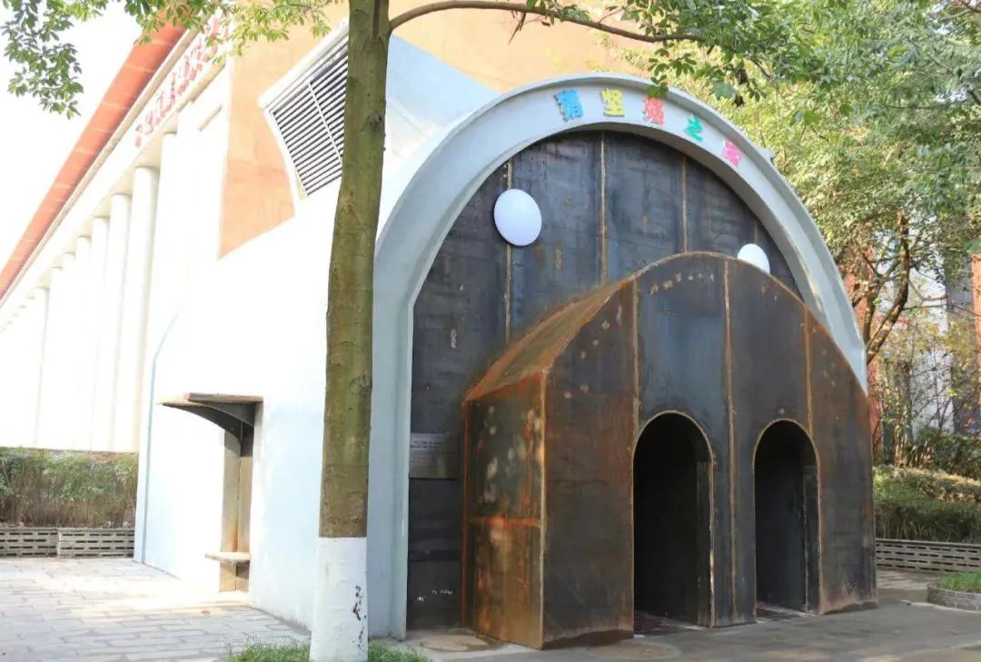 猪坚强可能即将走完生命旅程视频,猪坚强后继有人