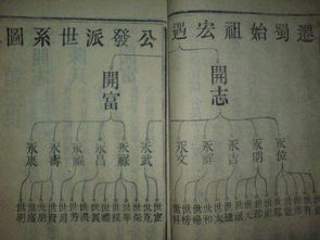 历史上真实族谱,历史遗留族谱