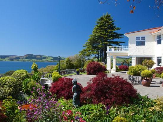 在新西兰买房难不难,在新西兰买房的感受