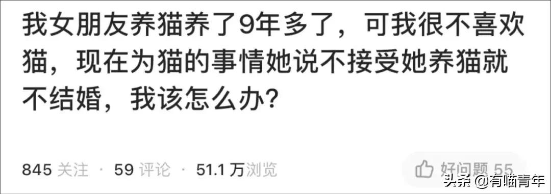 养了十几年的猫和男朋友分手了,女朋友要求丢掉养了3年的猫