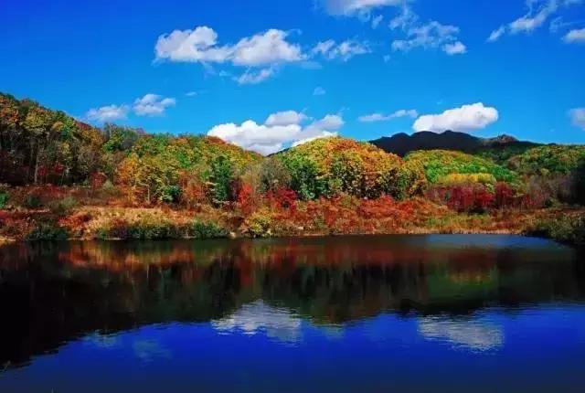 哈尔滨自驾三亚边走边玩最佳路线,哈尔滨到漠河自驾旅游攻略10天