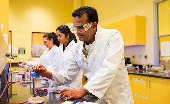 中澳合作专业留学,留学澳洲专业大全